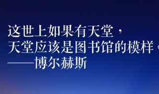 一句话游泳经典语录 一句话游泳经典语录有哪些