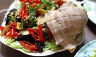 海螺怎么做来好吃 海螺经典做法