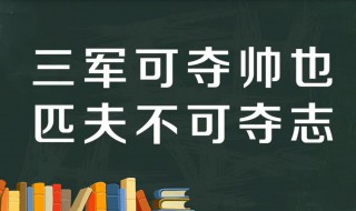 子曰三军可夺帅也匹夫不可夺志也的意思 出自何处