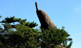 黄山奇石有哪些奇石 黄山奇石有哪些