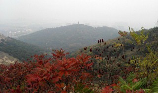 葫芦岛最著名的十大旅游景点 喜欢旅游的这些地方一定要去哦