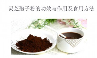 灵芝孢子粉的功效与作用及食用方法 灵芝孢子粉的食用方法