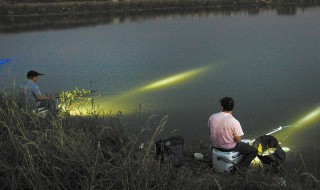 夜钓大头鱼的技巧 夜钓大头鱼的方法