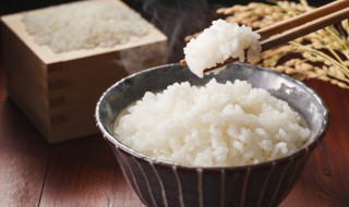 电饭锅怎么蒸米饭 电饭锅蒸米饭的方法