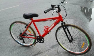 梦见自行车丢了是什么意思 这有什么解说吗