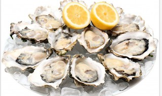 茉莉的功效牡蛎的功效 茉莉与牡蛎的功效和作用