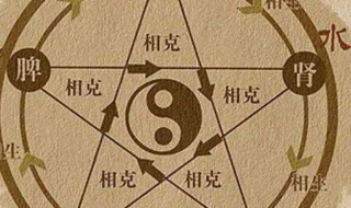 五行相生相克表 哪五行相克