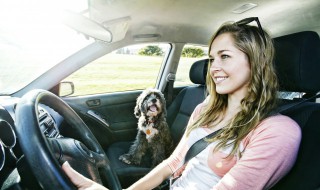 sylphy是什么车 sylphy是什么牌子的车