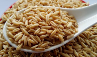 燕麦米的副作用 燕麦米吃多了的副作用