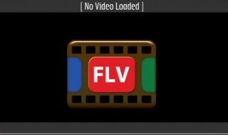 flv用什么播放器 使用操作学一学