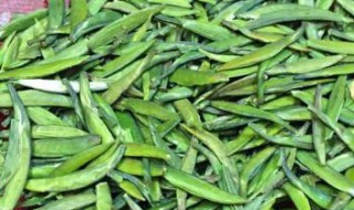 雀舌茶是什么茶 绿茶的稀有品种