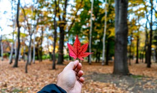 秋分怎么发朋友圈 秋分发朋友圈说说