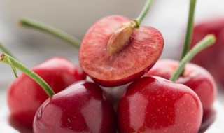 樱桃和车厘子的区别是什么 关于樱桃和车厘子的区别