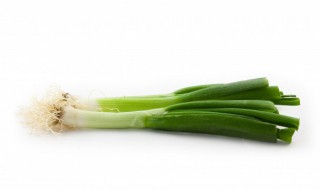 日本钢葱贮存方法 日本钢葱图片