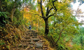 南黄古道最佳观赏时间（南黄古道一日游攻略）