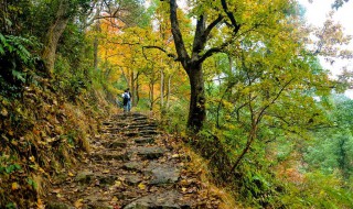 南黄古道徒步路线 黄南古道游玩攻略