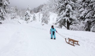 形容家乡下雪景的句子（形容家乡下雪美景的句子）