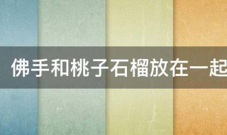 佛手和桃子石榴放在一起寓意（佛手和桃子石榴放在一起寓意什）