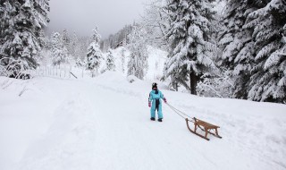 冬天雪景纯洁的优美句子 冬天雪景纯洁的优美句子简单