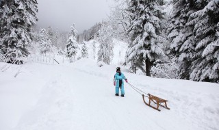 描写冬天雪景的句子 描写冬天雪景的句子的短文