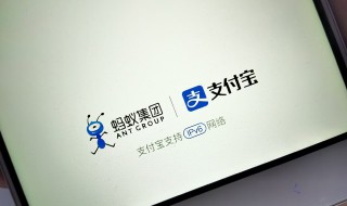 2020支付宝年度关键词是怎么来的 2020支付宝年度关键词不甘平庸