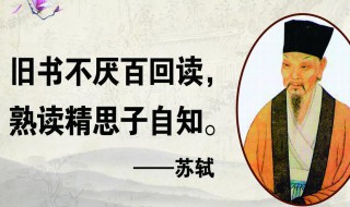 名人名句经典语录（名人语录经典长句）