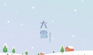 关于大雪节气的美句（关于大雪节气的美句简短）