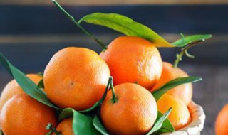 柑橘常见病虫害介绍 柑橘的病害虫害介绍