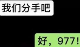 997是什么意思（99977是什么意思）