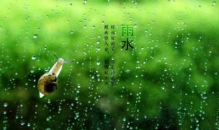 2020年雨水节气具体时间 2020年雨水的日期