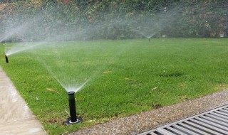 绿化灌溉方法及特点（园林植物灌溉的方法有）