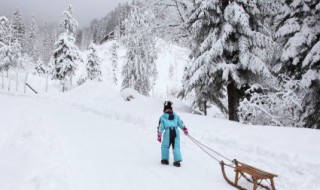 形容下雪的简短句子（形容下雪的简短句子唯美）