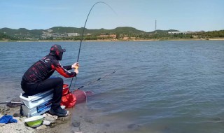 鱼线打卷怎么解决（纺车轮线打卷怎么办）