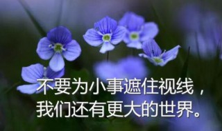 适合柳暗花明的微信签名经典语句 微信个性签名诗意简短