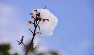 关于雪的微信签名经典语句（下雪的个性签名短句）