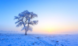 关于雪的唯美短句（有关雪的唯美短句）