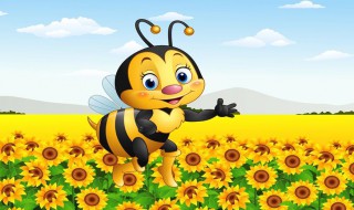中蜂工产会采花粉吗 蜜蜂采花粉是干嘛的
