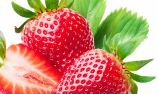 草莓冬天能放几天 草莓冬天一般能放几天