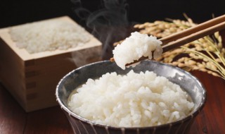 油饼热量高还是米饭热量高（油饼热量高还是米饭热量高好）