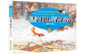 雪地寻踪摘抄优美句段（雪地寻踪好词好句读后感）