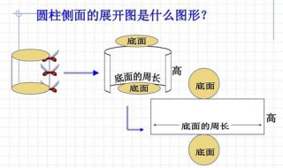 圆柱的侧面是一个什么面,展开后是什么图形 你知道吗