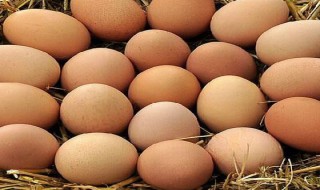 蛋营养价值（咸鸭蛋营养价值）