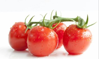 番茄红素的功效与作用 长期服用番茄红素的功效与作用