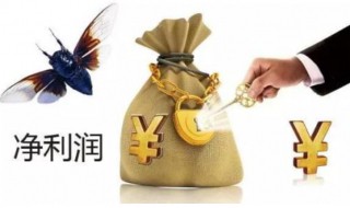 利润总额计算公式是什么（计算利润总额的公式是什么）