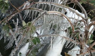 下雪杀菌的原理及解释 下雪杀菌的原理及解释图片