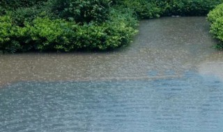 梅雨天什么时间 梅雨天持续多长时间