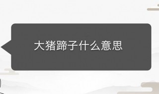 大猪碲子是什么意思