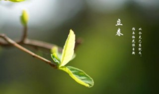 立春是什么季节（立春是什么季节的节气）