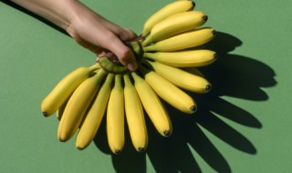 香蕉没种子怎么种植 香蕉种子为什么种不出香蕉