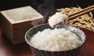 光波微波炉蒸米饭的方法 用微波炉蒸米饭